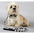 Dandie Dinmont Tartan Bow Tie